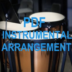 percussion_pdfinstrumental